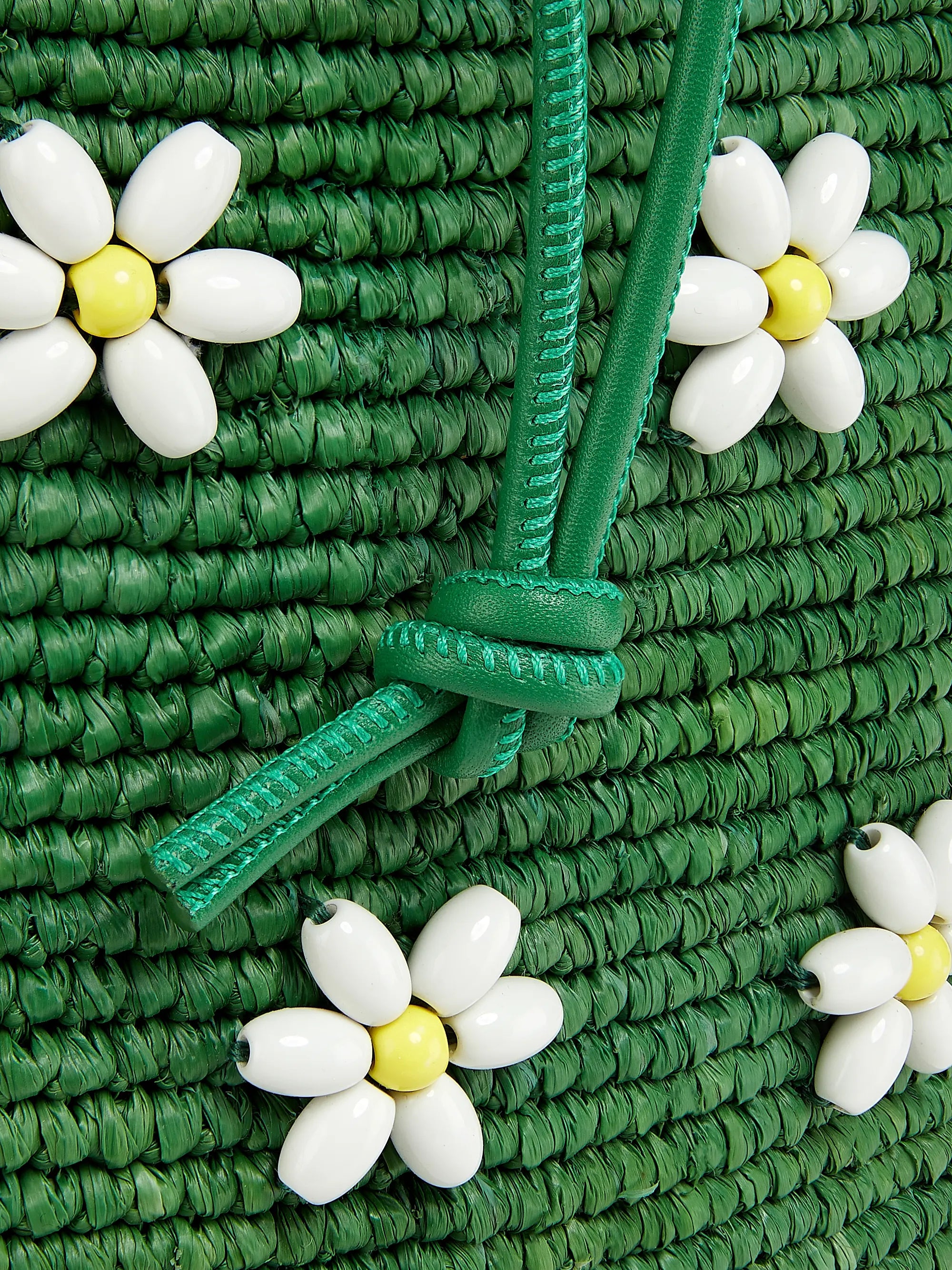 #color_tropical-green-white
