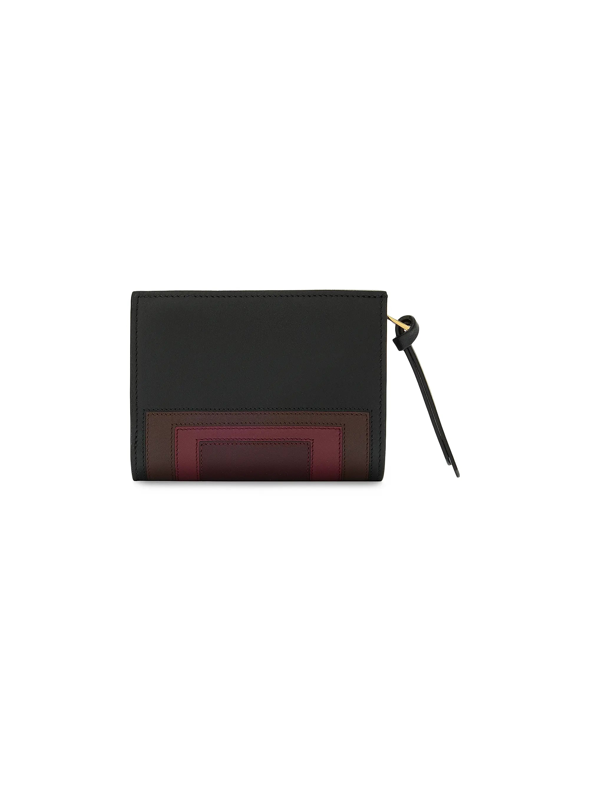 #color_black-burgundy