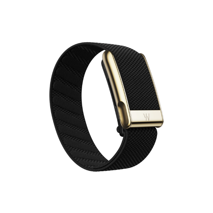 Whoop MG Superknit Luxe Obsidian with Gold Band (12 Month Subscription Included)