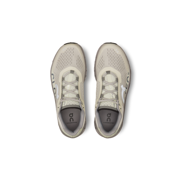 ON Running Men's Cloudmonster Ice | Alloy