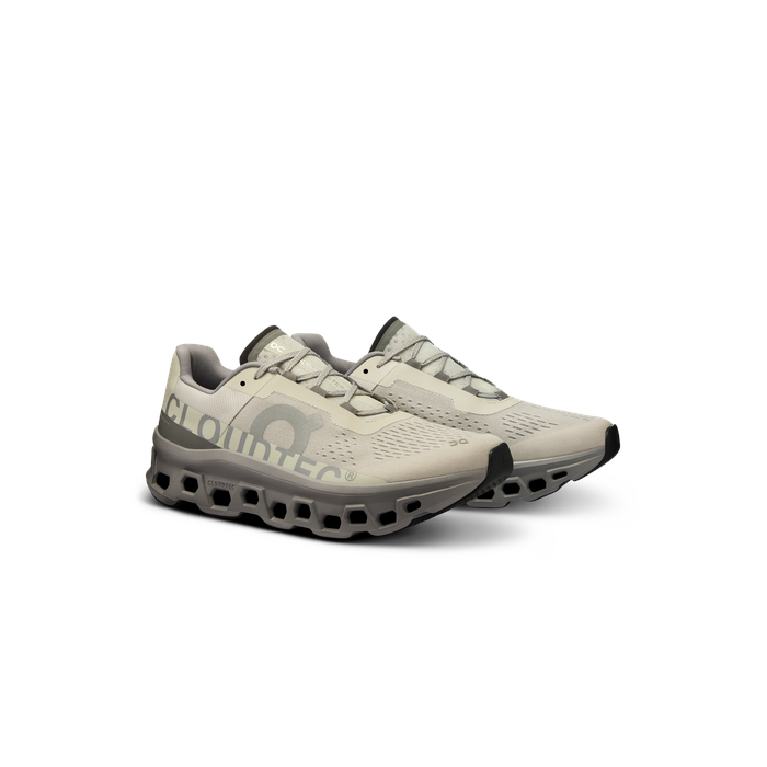 ON Running Men's Cloudmonster Ice | Alloy