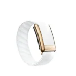 Whoop 4.0 Arctic with Rose Gold Superknit Band