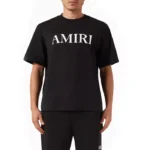 AMIRI Core Logo T-shirt in Cotton