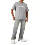 AMIRI Core Logo T-shirt in Cotton GREY